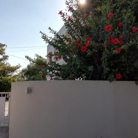 Dimitris' & Valentina'S Home ปลาเกียส ภายนอก รูปภาพ