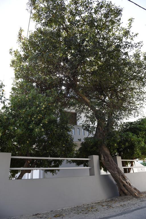 Dimitris' & Valentina'S Home ปลาเกียส ภายนอก รูปภาพ