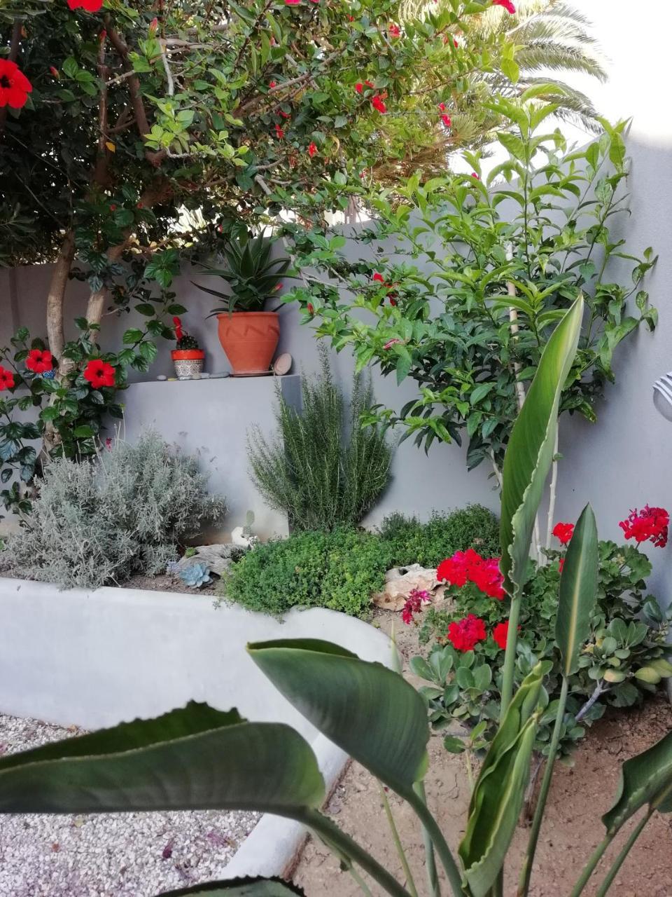 Dimitris' & Valentina'S Home ปลาเกียส ภายนอก รูปภาพ