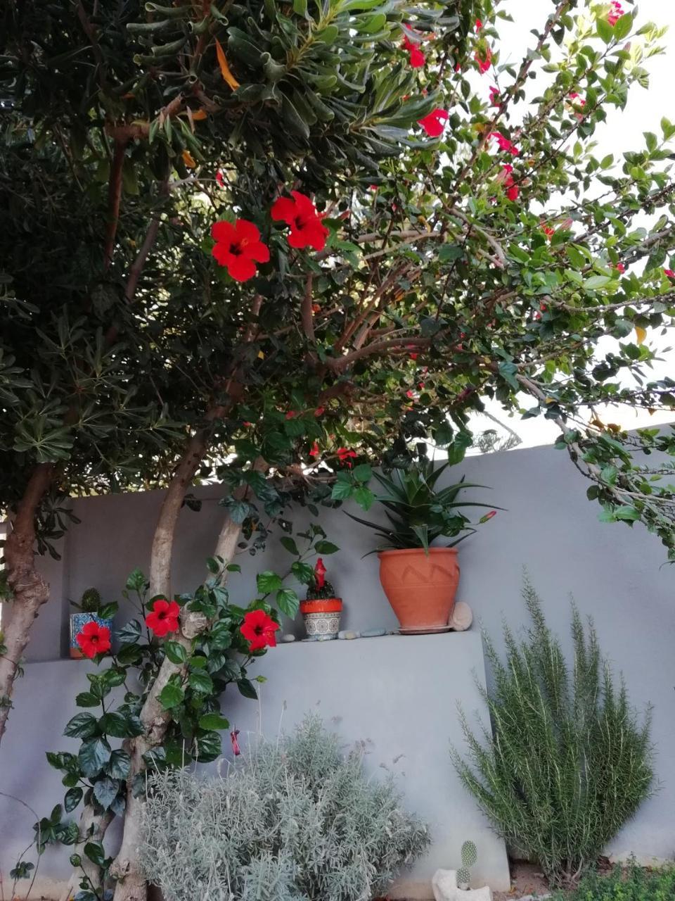 Dimitris' & Valentina'S Home ปลาเกียส ภายนอก รูปภาพ